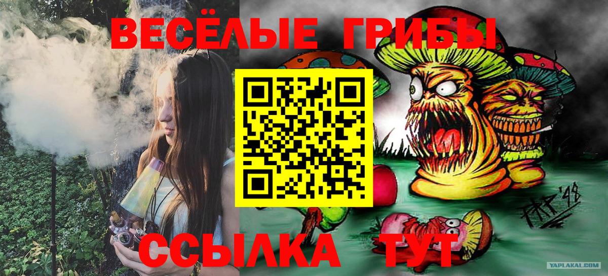 Троицк  Псилоцибиновые грибы мицелий  Вход с VPN 